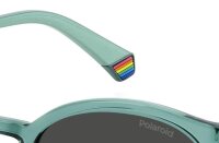 Polaroid PLD 6233/S Unisex Erwachsene Vollrandfassung 1ED-Grün