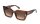 Just Cavalli Sobri Sjc099v - sunglasses just cavalli