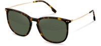 Rodenstock Sobri R3342 - sunglasses rodenstock