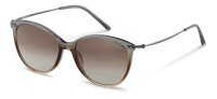 Rodenstock Sobri R3311 - sunglasses rodenstock -...