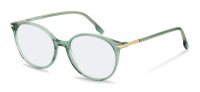 Rodenstock Kobri R5364 - plastic opt.frame rodenstock -...