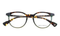 WILDCAT Optische Fassungen Grey Panto