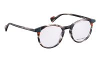 WILDCAT Optische Fassungen Brown Panto