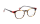 ANGLE-3 Optische Fassungen Brown Panto
