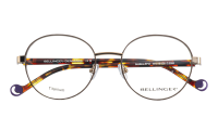 BOLDLINE-SP12 Optische Fassungen Brown Square