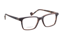 WILBUR Optische Fassungen Brown Square