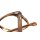 HANK-SKXL Optische Fassungen Brown Panto