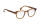 JACKSON Optische Fassungen Brown Panto