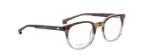 HANK-L Optische Fassungen Brown Panto
