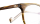ARLO Optische Fassungen Brown Panto