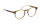 ARLO Optische Fassungen Brown Panto