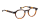 HADLEY Optische Fassungen Brown Panto