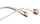 ANGLE Optische Fassungen Pink Butterfly