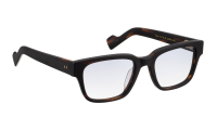 THIAGO Optische Fassungen Brown Square
