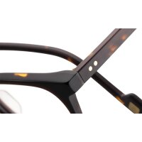 PALM-VIPER-2 Optische Fassungen Brown Panto