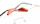 KARA-4 Optische Fassungen Green Butterfly