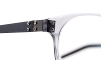 LAAX-XL Optische Fassungen Crystal Panto