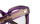 TALLULAH Optische Fassungen Purple Cat Eye
