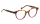 BLAIRE Optische Fassungen Brown Round
