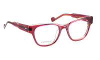CLOE Optische Fassungen Purple Cat Eye