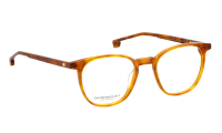 JACKSON-SK Optische Fassungen Brown Panto