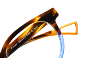 PINTAIL Optische Fassungen Brown Panto