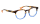 PINTAIL Optische Fassungen Brown Panto