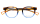PINTAIL Optische Fassungen Brown Panto