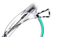 PINTAIL Optische Fassungen Crystal Panto