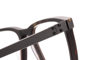 PENTLAND Optische Fassungen Brown Square