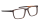 PENTLAND Optische Fassungen Brown Square