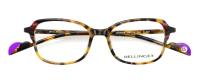 JASMINE Optische Fassungen Brown Butterfly