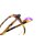 JASMINE Optische Fassungen Brown Butterfly