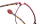 DIVINE Optische Fassungen Red Cat Eye
