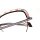LADY-2 Optische Fassungen Brown Butterfly