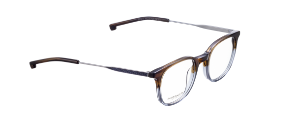 HANK-T Optische Fassungen Brown Panto