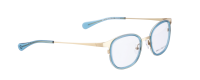 ARC-6 Optische Fassungen Gold N/A