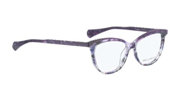 BROWS-6 Optische Fassungen Purple N/A