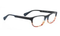PIT-1 Optische Fassungen Blue N/A