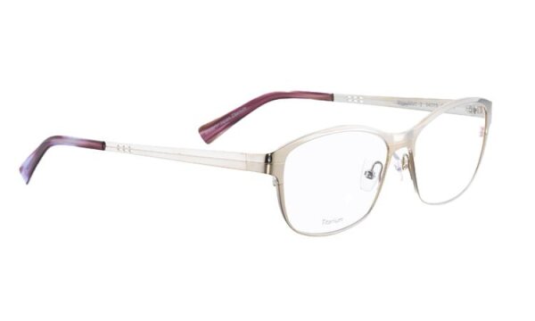 SHINYMATT-2 Optische Fassungen Gold N/A