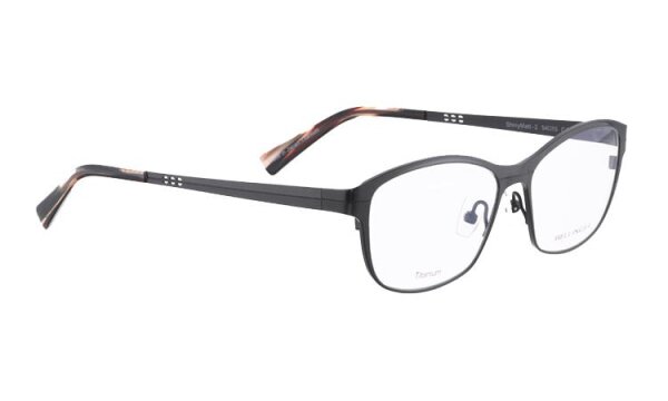 SHINYMATT-2 Optische Fassungen Brown N/A