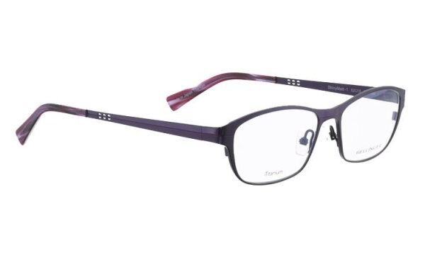 SHINYMATT-1 Optische Fassungen Purple N/A