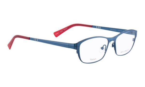 SHINYMATT-1 Optische Fassungen Blue N/A