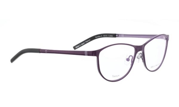 SANDLAU-6 Optische Fassungen Purple N/A