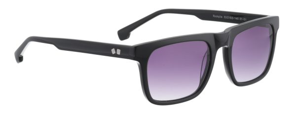ROCKPILE Sonnenbrillen Black N/A