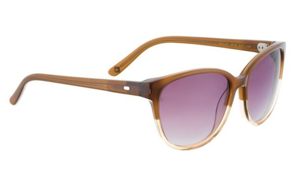 AVALON Sonnenbrillen Brown N/A