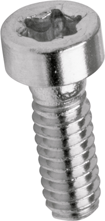 Torx-Schrauben