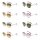Etnia Barcelona LADY 53D Sonnenbrille