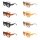 Etnia Barcelona BRIGITTE 52D Sonnenbrille