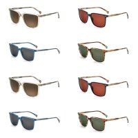 Etnia Barcelona CALONGE II SUN 55D Sonnenbrille